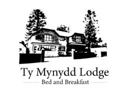 Ty Mynydd Lodge