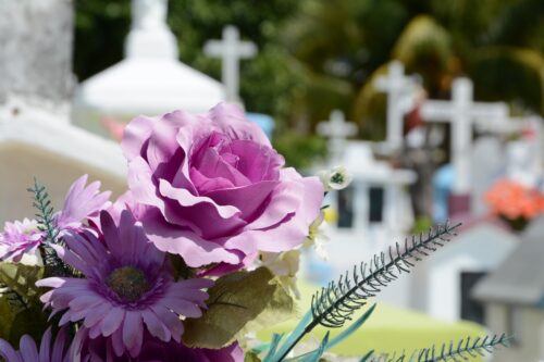 Purple flowers in graveyard