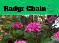 Cover of Chain 276 featuring photo of pink flowers