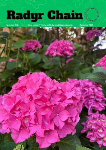 Cover of Chain 276 featuring photo of pink flowers